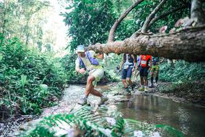 BIB: 
                            <button type="button" onclick="openModal(25443156)" class="btn btn-primary btn-sm float-right btn-popup" data-toggle="modal" data-target=".modal-high-quality">
                        <i class="fas fa-shopping-cart"></i> Add to Cart
                    </button>
                                            <button type="button" onclick="isThisMe(25443156, true)" class="btn btn-success btn-sm float-right btn-popup btn-isme hidden" data-toggle="tooltip" data-placement="bottom" title="นี่คือรูปของคุณใช่ไหม คลิกที่นี่เพื่อเอาเข้าอัลบั้ม">
                        <i class="fas fa-plus"></i> Add to album
                    </button>
                    <button type="button" onclick="isThisMe(25443156, false)" class="btn btn-warning btn-sm float-right btn-popup btn-isnotme hidden">
                        <i class="fas fa-ban"></i> Remove from album
                    </button>